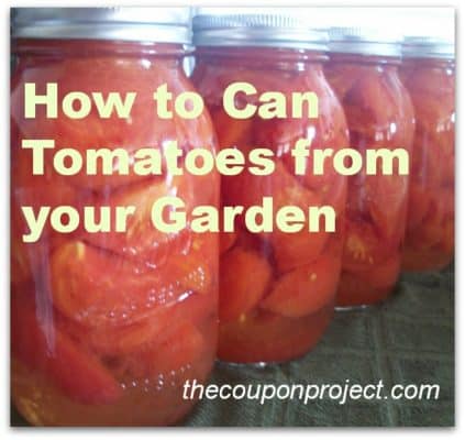 How I Canned My Garden Tomatoes