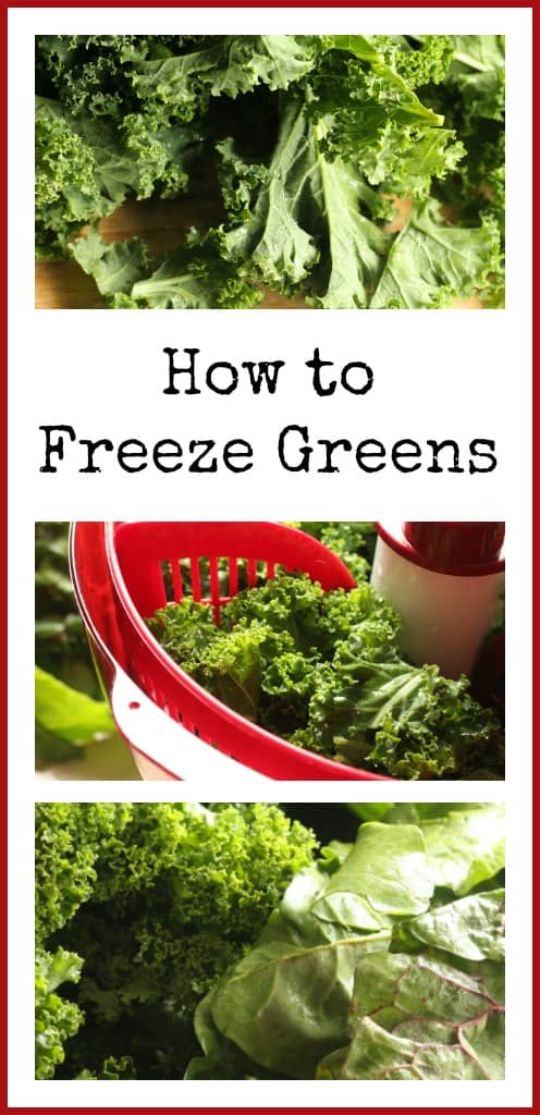 How to Freeze Your Greens (And Ideas For How to Use Them)