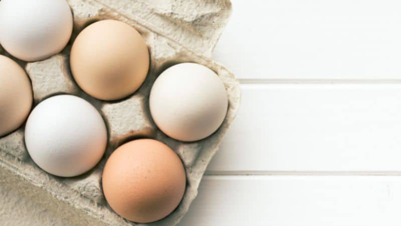 eggs in carton image