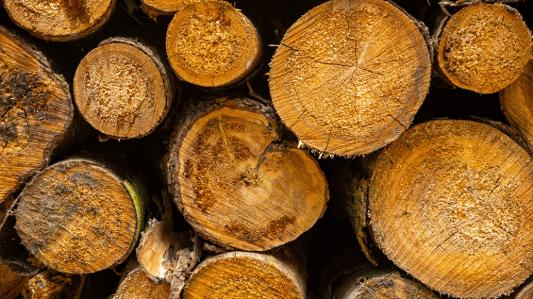 get free firewood near me