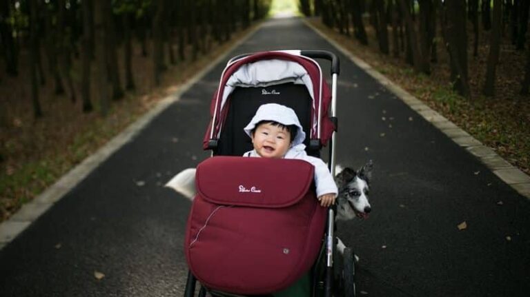 kid in stroller
